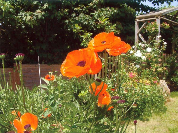 Bed and Breakfast Wheelwrights Abbotsbury Esterno foto